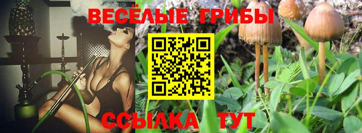Галлюциногенные грибы Cubensis  Вход с VPN  Муром 